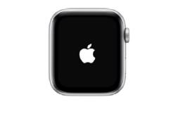 Repuestos Apple Watch Serie 4